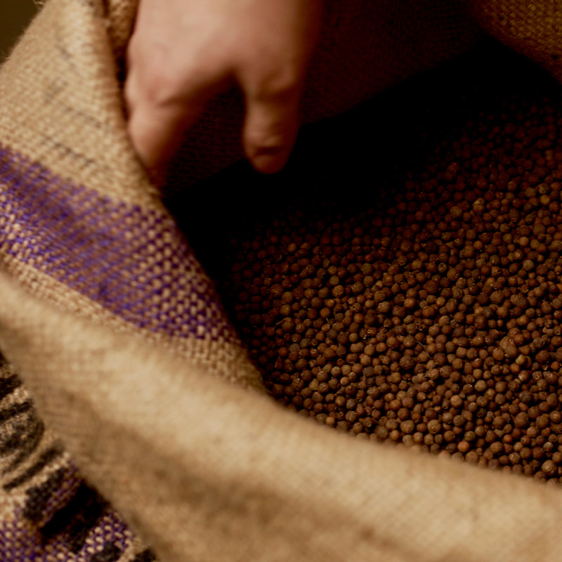 We source spices from around the globe, searching for the best-tasting version of each ingredient that we can find.