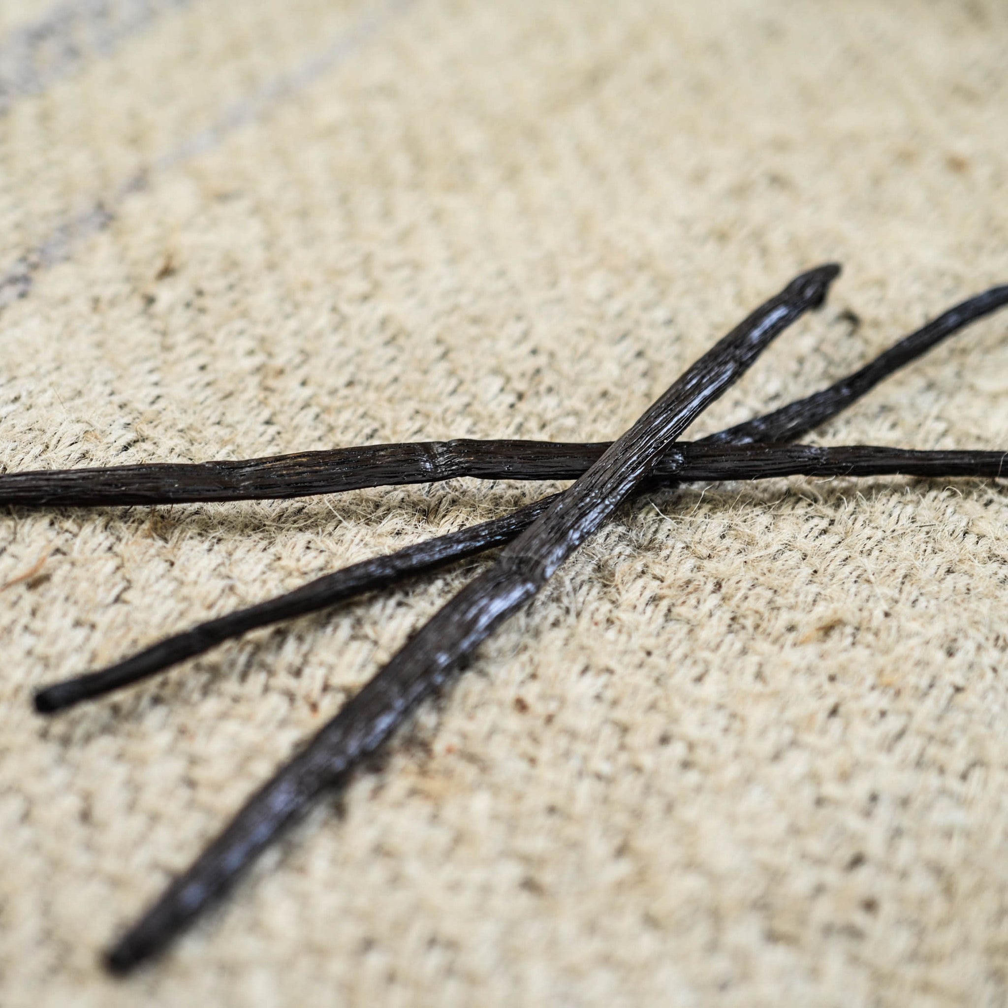 Madagascar Vanilla Beans (3)